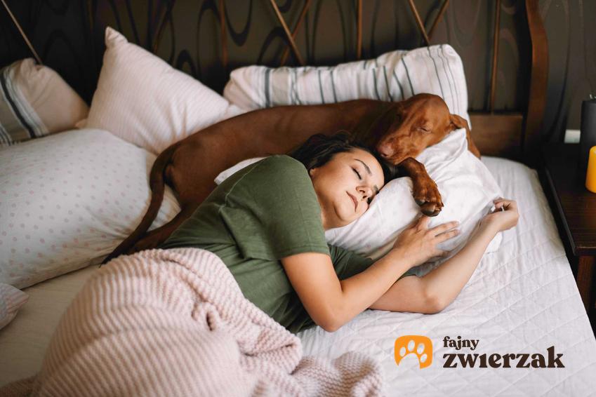 Kobieta śpiąca z psem w łóżku, a także czy spanie z psem to dobry pomysł
