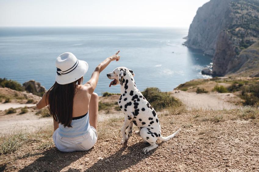 Kobieta w kapeluszu siedzi na skarpie nad morzem w towarzystwie swojego psa dalmatyńczyka
