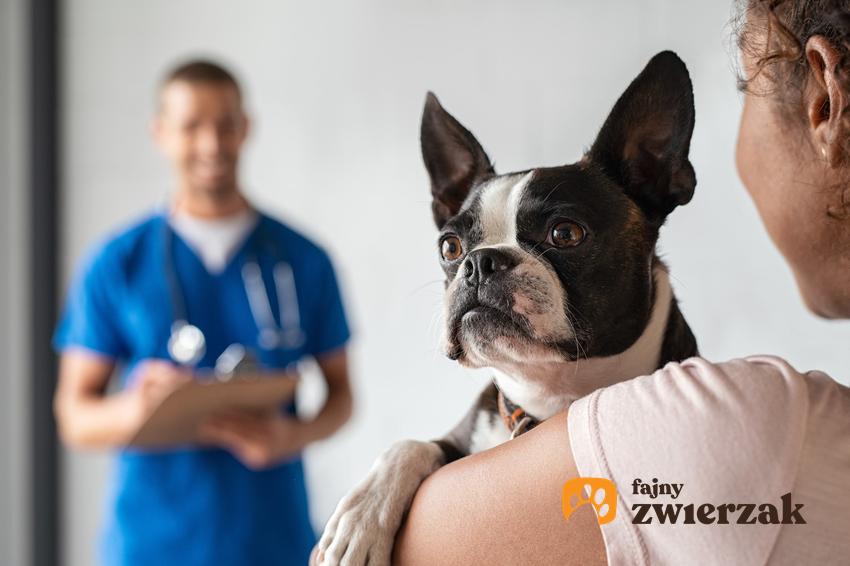 Kobieta z psem u weterynarza, a także epilepsja, czyli padaczka u psa
