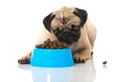 Karma Royal Canin Gastro Intestinal – skład, opis, cena