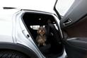 Fotelik samochodowy dla psa i siedzisko samochodowe dla psa – opis produktów