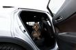 Fotelik samochodowy dla psa i siedzisko samochodowe dla psa – opis produktów