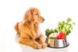 Witaminy w diecie psa - oznaki niedoborów lub przedawkowania