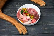 Jak wybrać mięso dla psa? Żywienie dietą domową i BARF