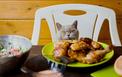5 produktów z twojego talerza, które mogą zabić kota