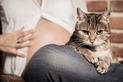 Jak przygotować kota na pojawienie się dziecka w rodzinie?