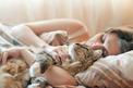 Dlaczego kot lubi spać z człowiekiem?