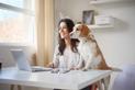 Czy warto skorzystać ze szkoleń psów online? Wyjaśniamy krok po kroku