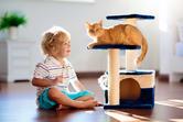 5 najfajniejszych zabaw dla dużych kotów. Oto zajęcia, które pokocha Twój kot