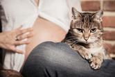 Jak przygotować kota na pojawienie się dziecka w rodzinie?