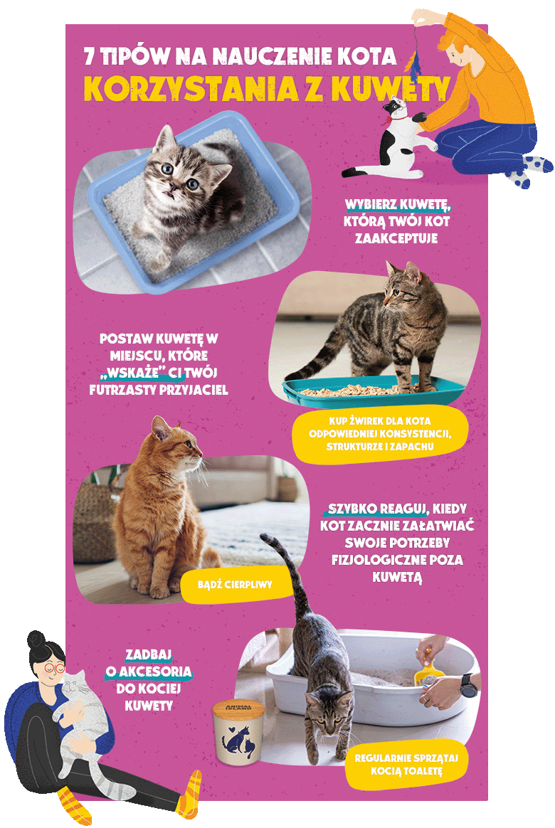 7 trików na nauczenie kota korzystania z kuwety - infografika